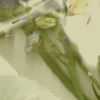 Download track Tone Of A New Start