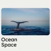 Download track Explorer Ocean
