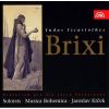Download track 04. Recitativo - Aria III Adagio Pavla Ksicova Alto
