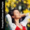 Download track A Light In Our Lives