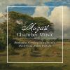 Download track String Quartet No. 19 In C Major, K. 465 