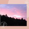 Download track Wondrous Positive Mindsets