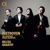 Download track 47. II. Allegro Vivace E Sempre Scherzando