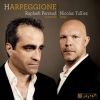 Download track Arpeggione Sonata In A Minor, D. 821 (Arr. N. Tulliez): I. Allegro Moderato - Raphaël Perraud