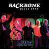 Download track Ain't No Use (Live)
