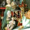 Download track Cantata, BWV 199-Mein Herze Schwimmit In Blut VII. Ich Lege Mich In Diese Wunden-Recitativo