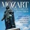 Download track Piano Trio In D Minor, K. 442 (Completed By M. Stadler): III. Allegro