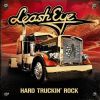 Download track The Song About Drinkin', Smokin', Rollin', Rockin' And Basically Doin' It All Wrong