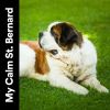 Download track To Help Your Dog Relax
