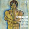 Download track Mahler: Symphony No. 4 In G Major (Arr. For Chamber Orchestra By Erwin Stein): III. Ruhevoll, Poco Adagio (Live In Rotterdam)