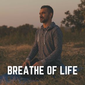 Download track Otherworldly Sounds For Relaxation, Pt. 9 Relaxing Morning Music