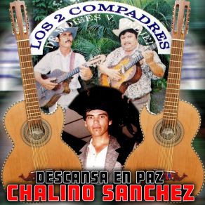 Download track Los Pajaritos Los 2 Compadres