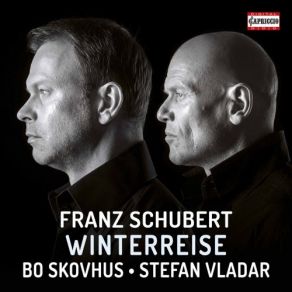 Download track Winterreise, Op. 89, D. 911: No. 3, Gefror'ne Tränen Bo Skovhus, Stefan Vladar
