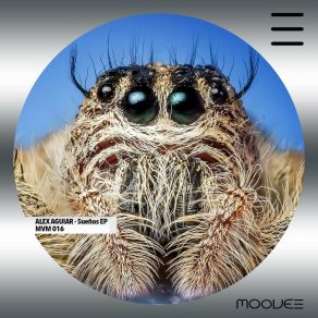 Download track Aguacero De Mayo (Original Mix) Alex Aguiar