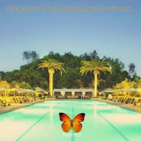 Download track Perfect Day (Ambient Intro Mix) Seven24, Rib