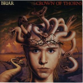Download track Just Another Day In The Life Of A Fool Briar