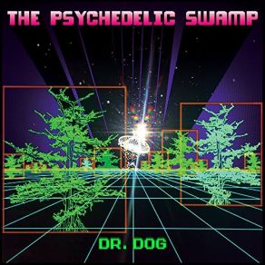 Download track Swamp Is On Dr. Dog