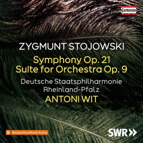 Download track Stojowski: Symphony In D Minor, Op. 21: IV. Finale. Allegro Con Fuoco, Ma Non Vivace Antoni Wit, Deutsche Staatsphilharmonie Rheinland-Pfalz
