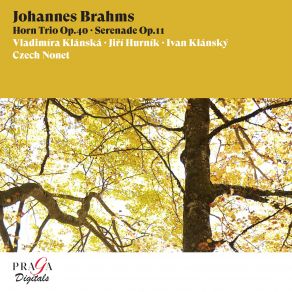 Download track Serenade No. 1 In D Major, Op. 11: VI. Rondo. Allegro Czech Nonet, Ivan Klansky, Jiri Hurnik, Vladimíra Klánská