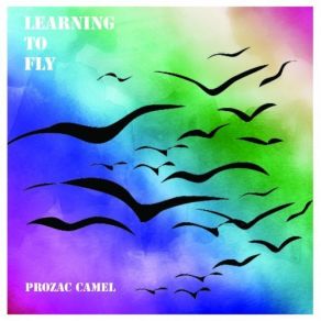Download track Learning To Fly Prozac Camel