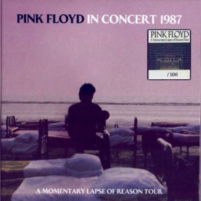 Download track A New Machine (Part 2) Pink Floyd