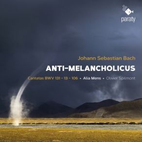 Download track 08. Meine Seufzer, Meine Tränen, BWV 13 Choral Der Gott, Der Mir Hat Versprochen Johann Sebastian Bach