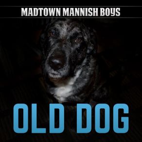 Download track Don't Misunderstand Me Madtown Mannish Boys