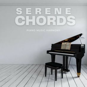 Download track Soft Notes Harmony Music