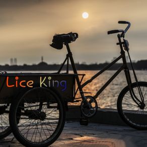 Download track My Machine Lice King