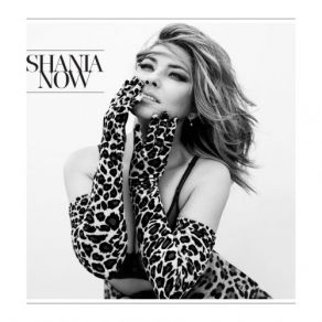 Download track More Fun Shania Twain
