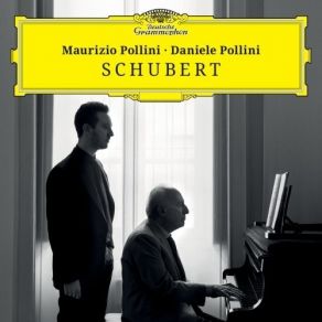 Download track 03. III. Menuetto. Allegro Moderato Franz Schubert