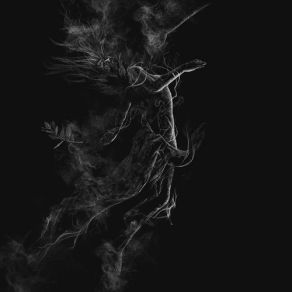 Download track Cathedral Jarboe