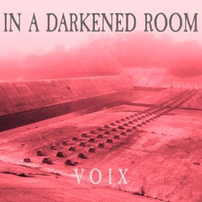 Download track Cemetery Trees In A Darkened Room