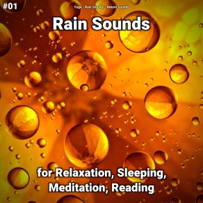 Download track Noises To Help You Fall Asleep Nature Sounds