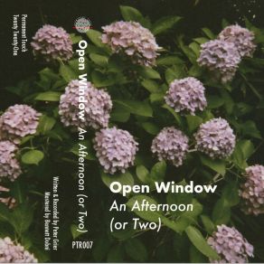 Download track Silent Line Open Window