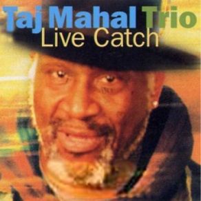 Download track Lovin' In My Baby's Eyes Taj Mahal