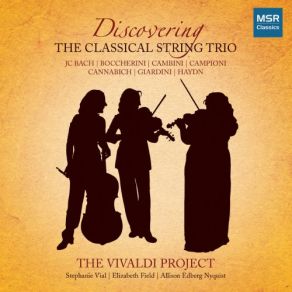 Download track Trio In D Major, Op. 2, No. 4: II. Allegro Con Spiritoso Vivaldi Project