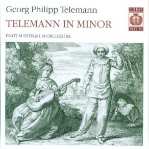 Download track Concerto In E Minor For 2 Flutes, Strings, And Continuo TWV 53-E1 - 2. Allegro Pratum Integrum Orchestra, Pratum Integrum