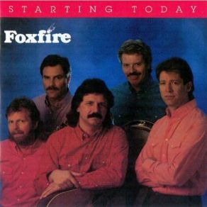 Download track Don't Lock Me Out Foxfire