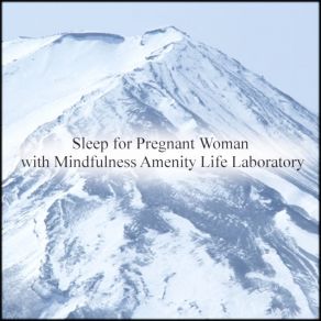 Download track Shell & Frustration (Original Mix) Mindfulness Amenity Life Laboratory