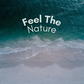 Download track Transformative Power Sounds Of Nature Noise