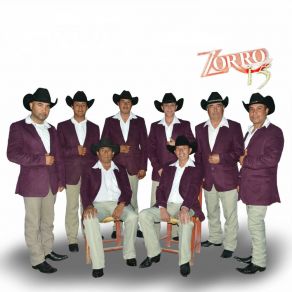 Download track Me Vas A Doler Zorro 15
