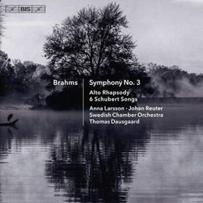 Download track 11.21 Hungarian Dances, WoO 1 (Arr. T. Dausgaard For Orchestra) No. 11 In D Minor Johannes Brahms