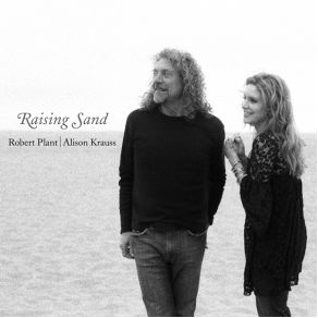 Download track Let Your Loss Be Your Lesson Robert Plant & Alison Krauss