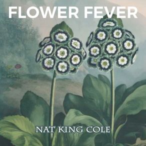 Download track It's A Beautiful Evening Nat King Cole