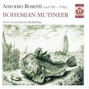 Download track 05. Concerto For Horn And Orchestra In D Minor (Murray C38). - Allegro Molto, Soloist- Helen MacDougall Antonio Rosetti