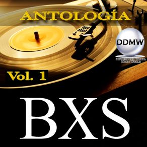 Download track Los Dos Fuimos Culpables BXS