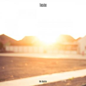 Download track She Hates I'm Streetwise My Nights