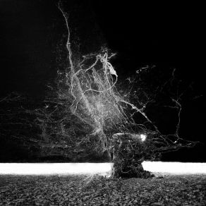 Download track Pattern Le Brouf