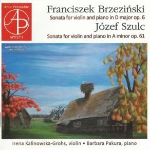 Download track 01. Brzezinski - Violin Sonata In D Major Op. 6 - I. Allegro Moderato Irena Kalinowska-Grohs, Barbara Pakura